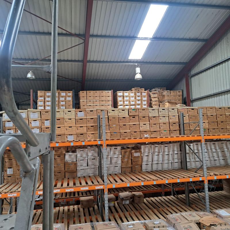 To Let commercial Property for Rent in Greenbushes Eastern Cape